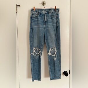 American Eagle Outfitters Light Blue Distressed strigid mom Jeans